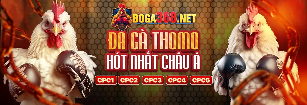 Đăng ký Caxeng2 để nhận ưu đãi